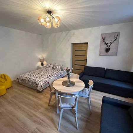 Plebiscytowa 6 Apartamento